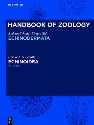 cover image of Echinoidea